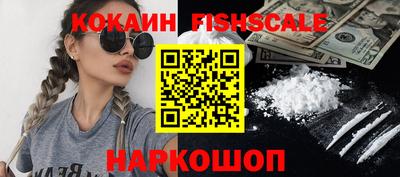 a pvp Камышлов
