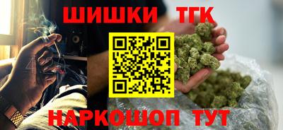 a pvp Камышлов