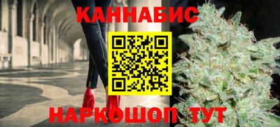 a pvp Камышлов