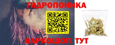 ГАЛЛЮЦИНОГЕННЫЕ ГРИБЫ Канаш